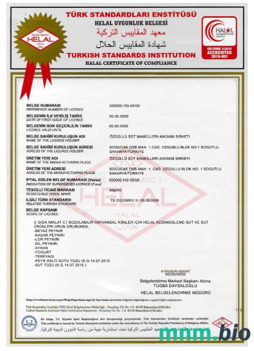 Turkish Standards Institution certyfikat